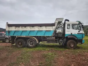 Mercedes-Benz 2534 Tipper Truck