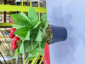 Table Flower(Artificial,Fruit Table Flower)