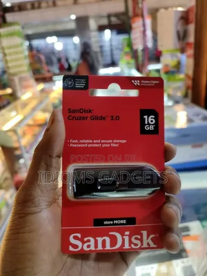 Flash Disk