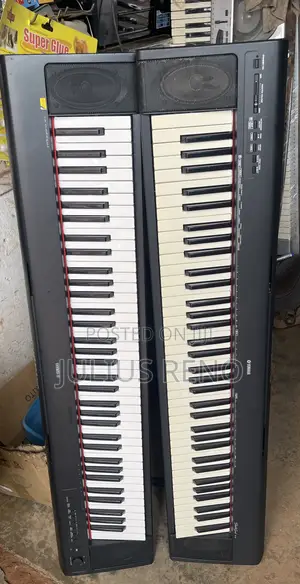 Yamaha Portable Grand Np30