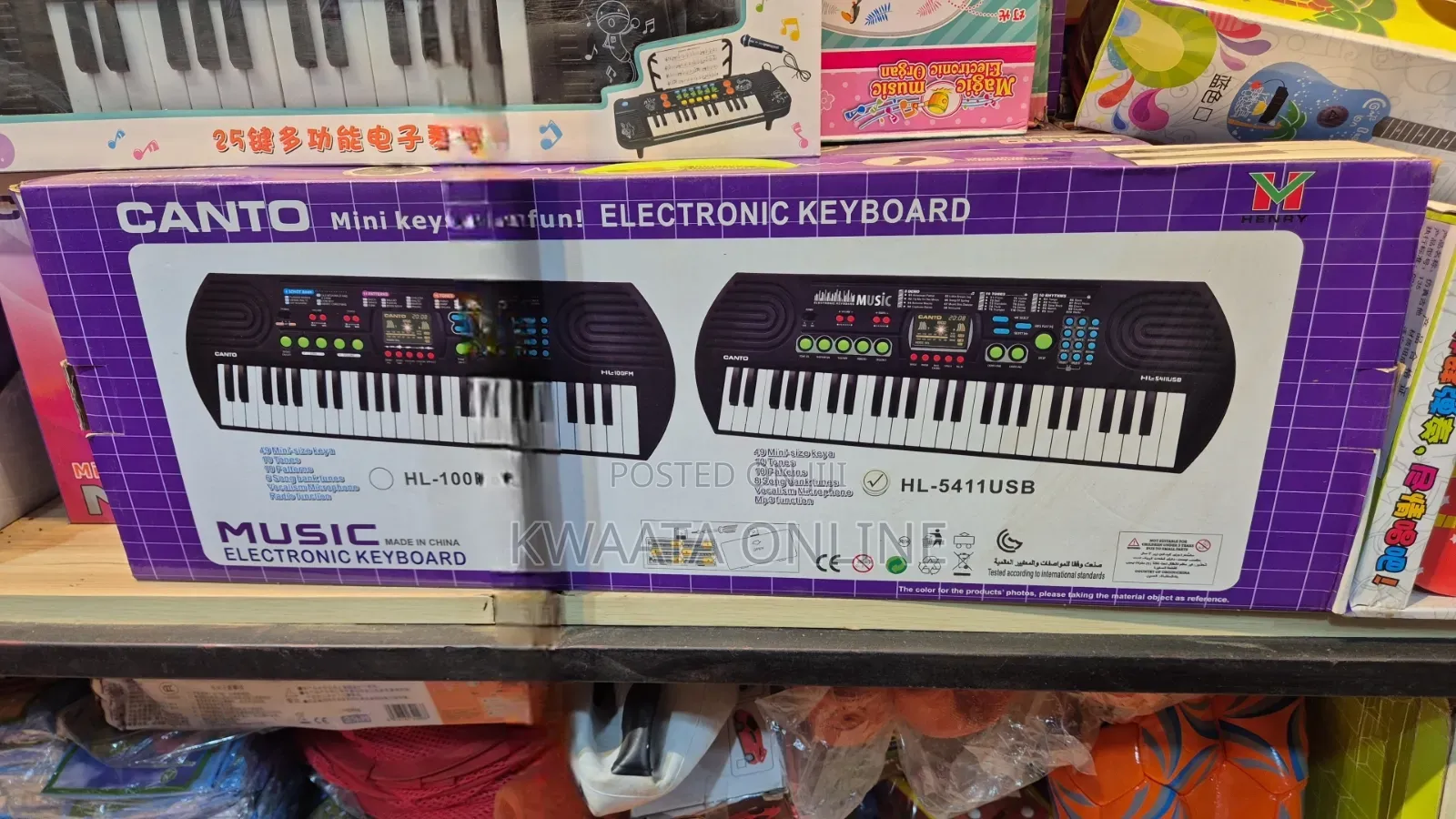 Canto Kids Electronic Keyboard,Radio,Mic With Freebies Hl-5411usb