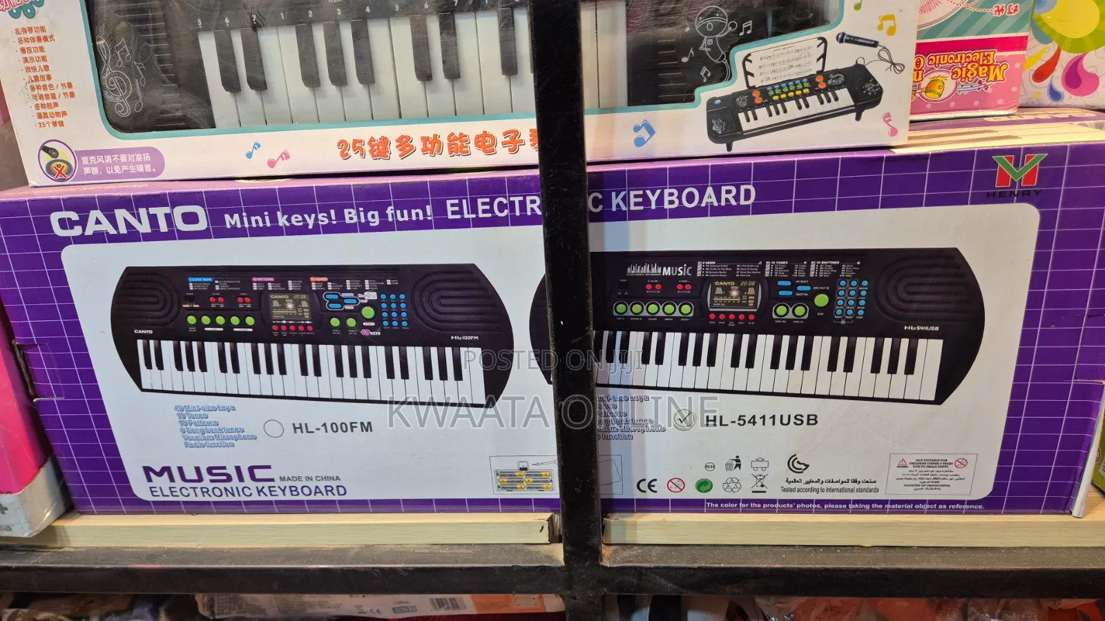 Canto Kids Electronic Keyboard,Radio,Mic With Freebies Hl-5411usb