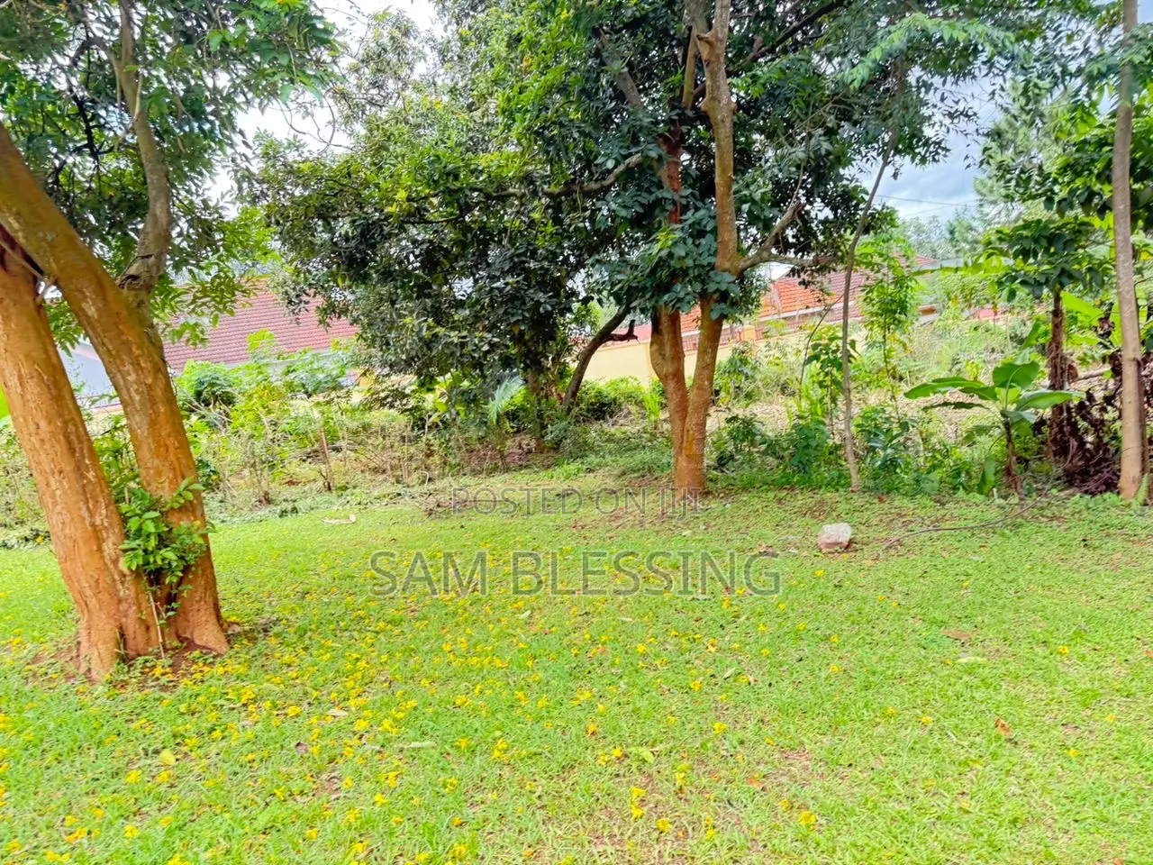 31 Decimals for Sale in Namugongo
