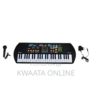 Canto Kids Electronic Keyboard,Radio,Mic With Freebies Hl-5411usb