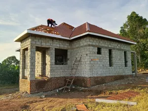 Professional Roof Carpenter