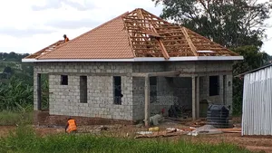 Professional Roof Carpenter