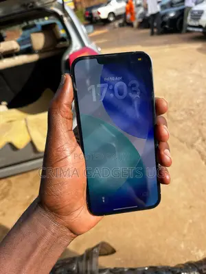 Apple iPhone 13 Pro Max 256 GB Blue