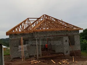 Experienced Roof Engineer