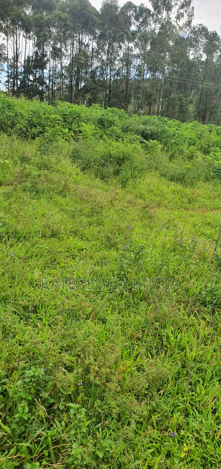 Land for Sale