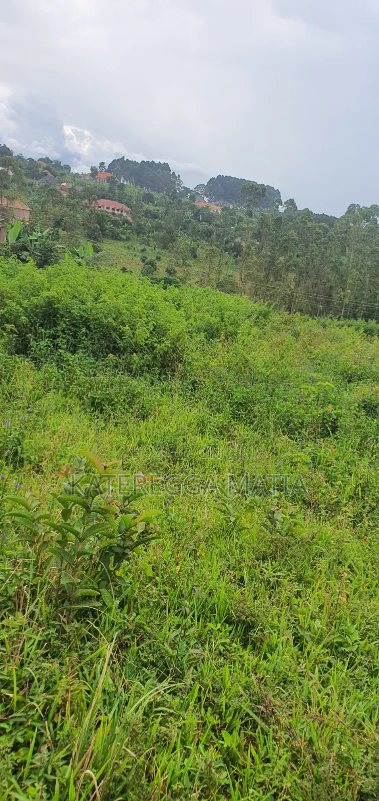 Land for Sale