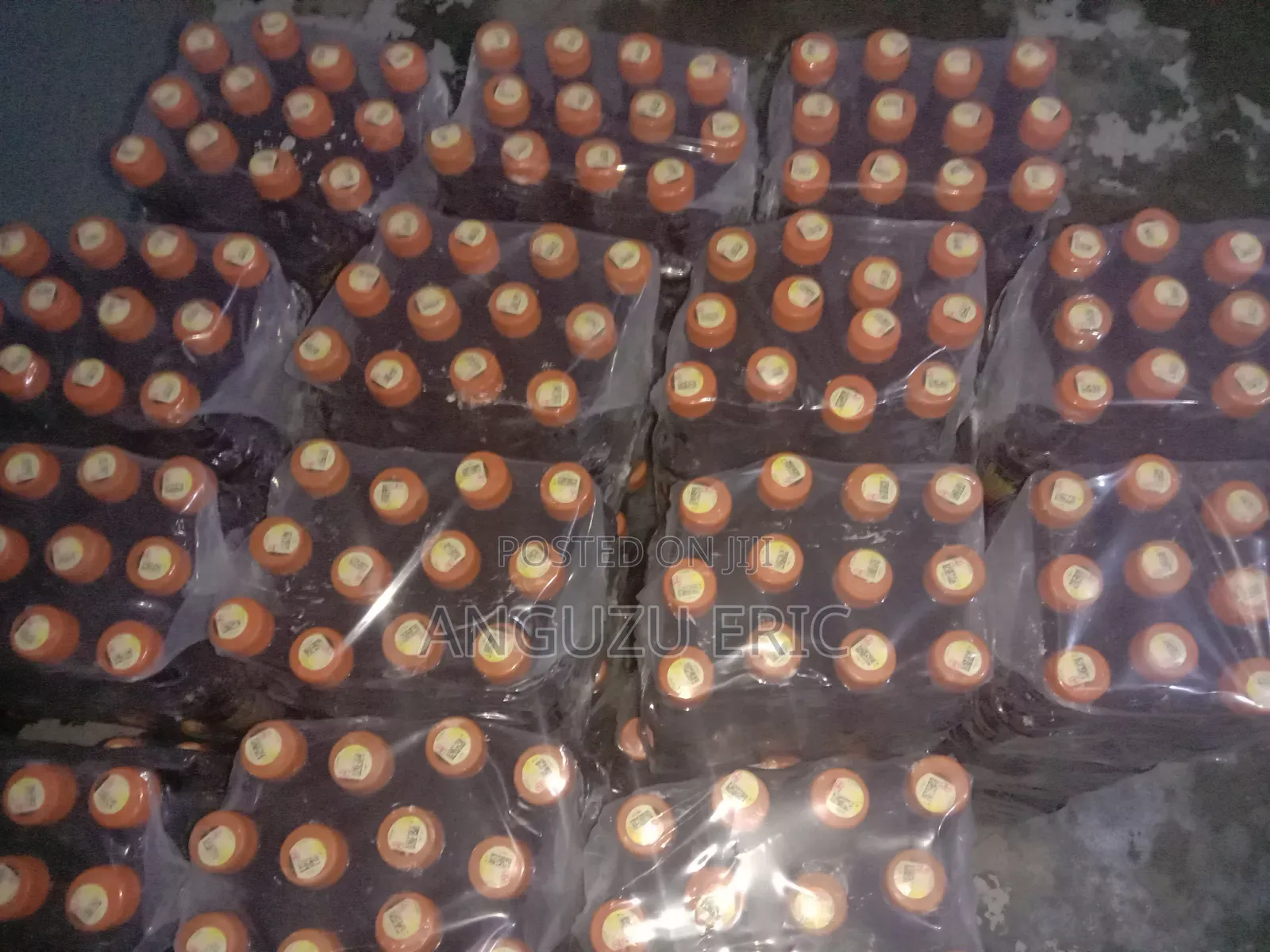 Cartons of Mric Kombucha Drink