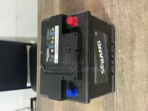 Din60 Efb Sebang Premium Battery