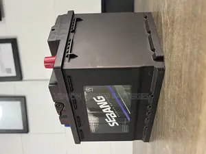 Din60 Efb Sebang Premium Battery