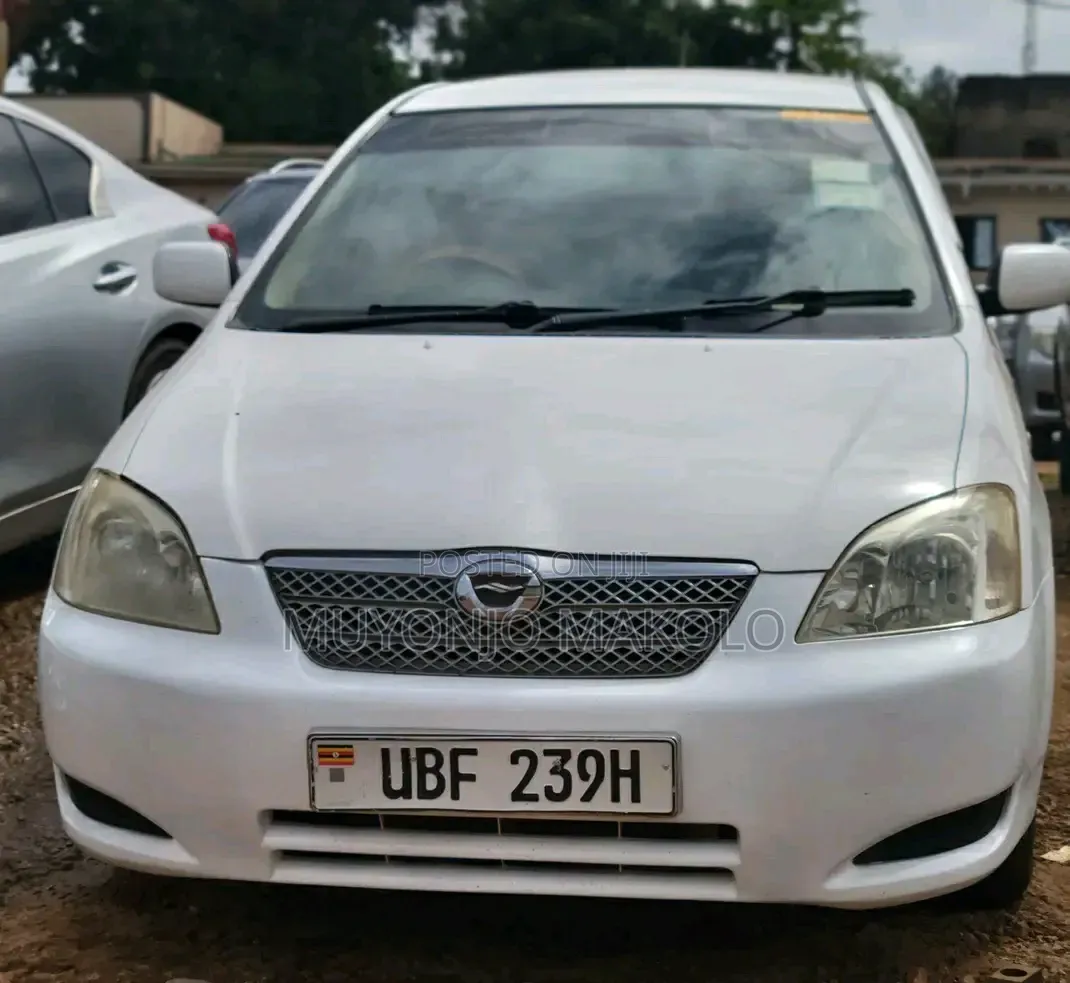 Toyota Corolla RunX 2006 White