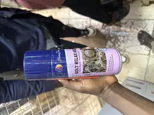 Bolt Rust Remover Relax Agent, a Multi-Purpose Aerosol Lubricant