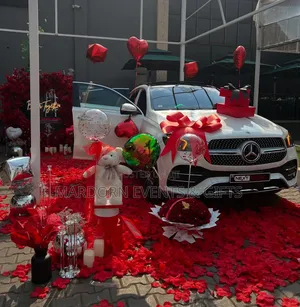Car Unveiling Decor