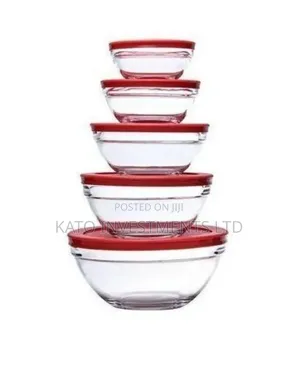 5pcs Heat Resistant Glass Cooking Bowls