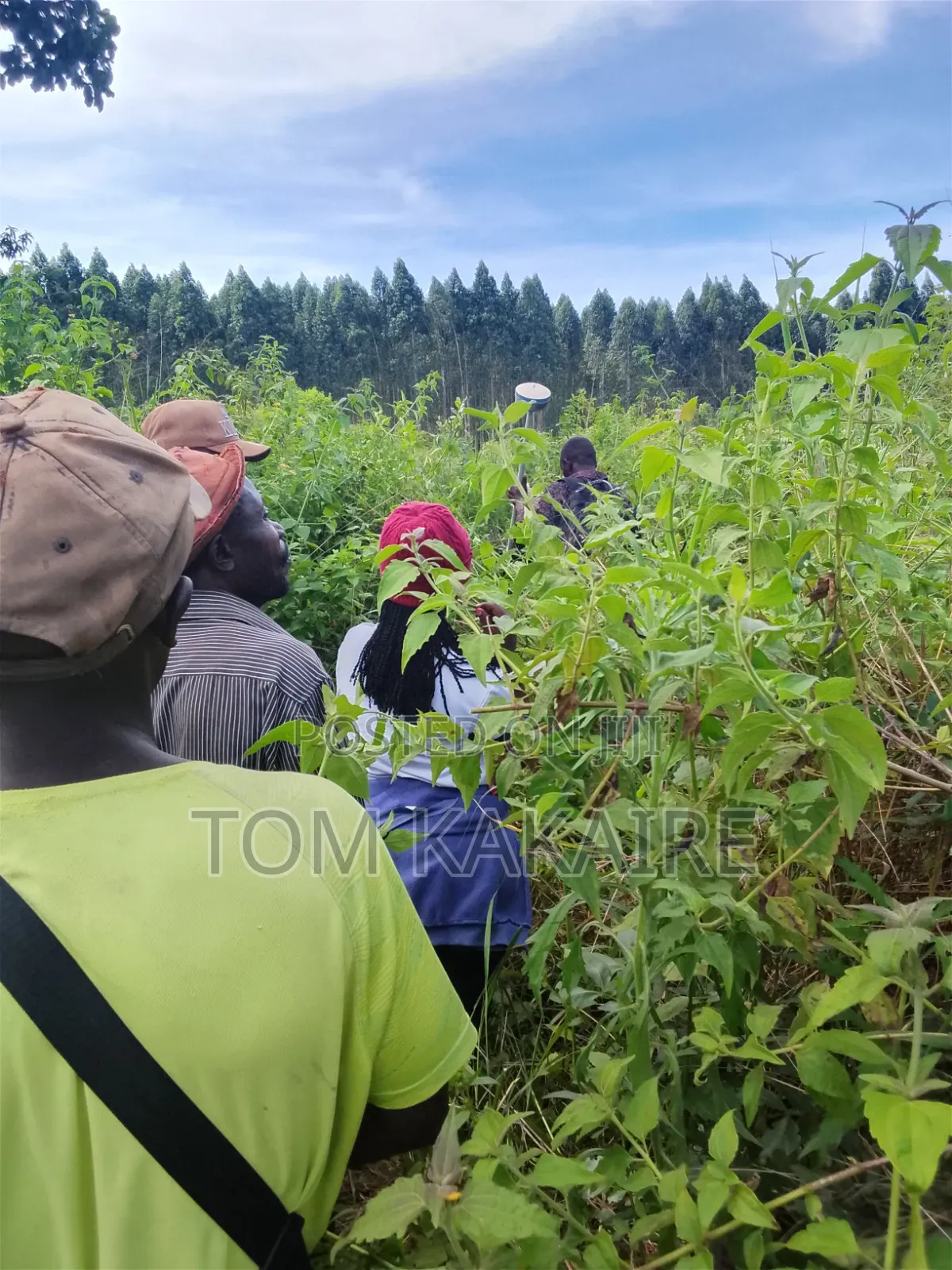 Farm Land for Rent Long Term