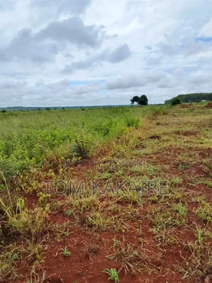 Farm Land for Rent Long Term