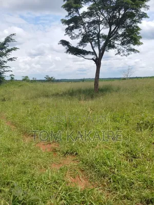 Farm Land for Rent Long Term