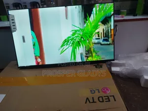 43 Lg Digital Flat Screen Flameless Digital