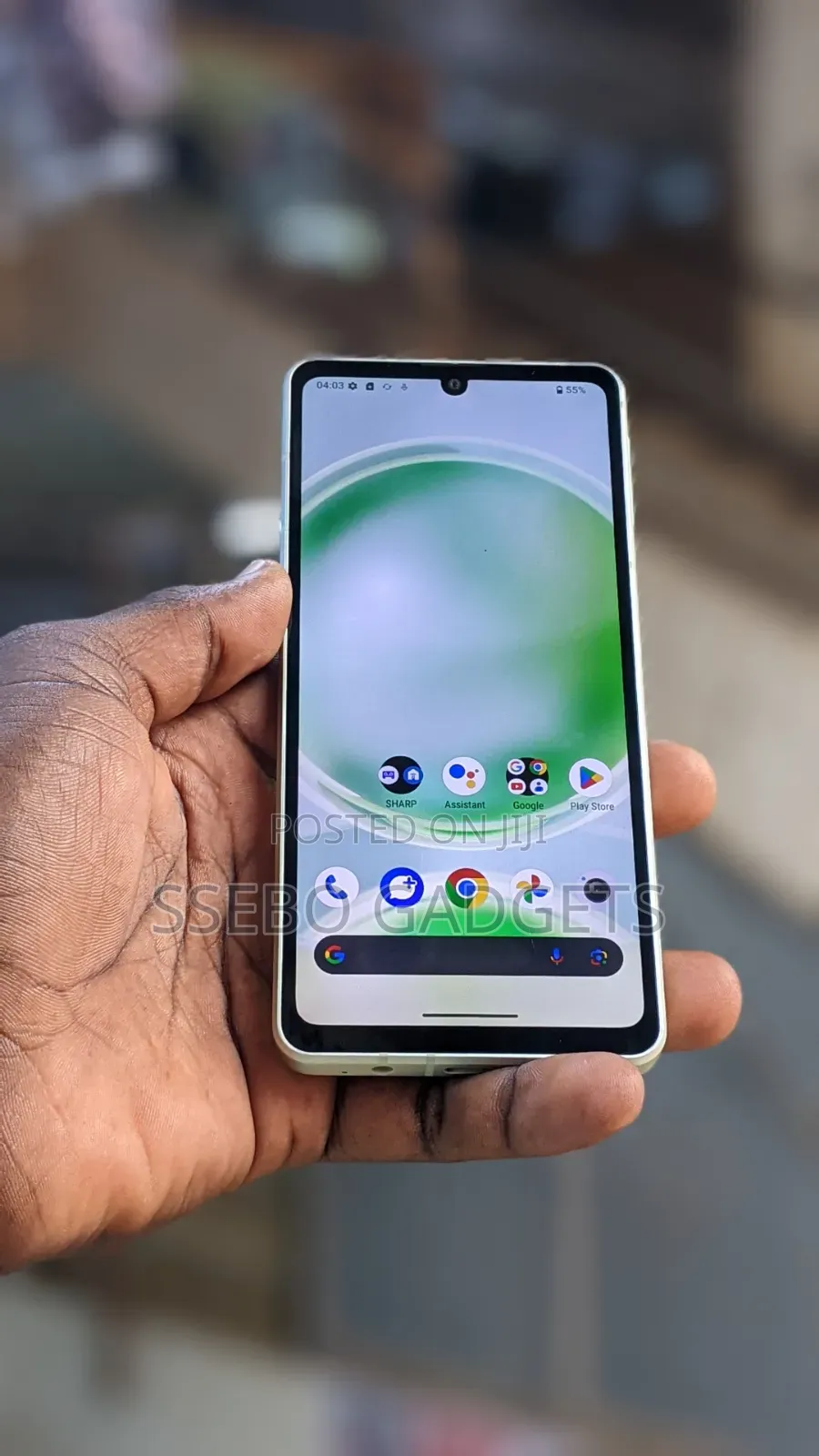 Sharp Aquos Sense 8 128 GB Green