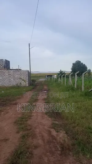 Plots for Sale in Bweya Kajjansi 100ft50 Asking
