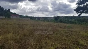 Plots For Sale In Bweya Kajjansi 100ft By100  