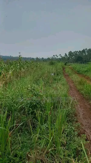 Land on Sell in Matugga Buwambo Near Ymca Institute
