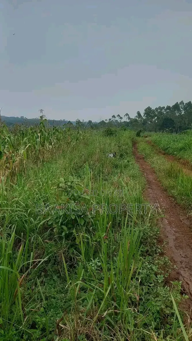 Land on Sell in Matugga Buwambo Near Ymca Institute