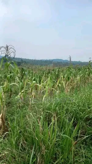 Land on Sell in Matugga Buwambo Near Ymca Institute
