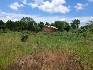 Land on Sell in Matugga Buwambo Near Ymca Institute