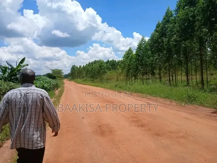 Land on Sell in Matugga Buwambo Near Ymca Institute