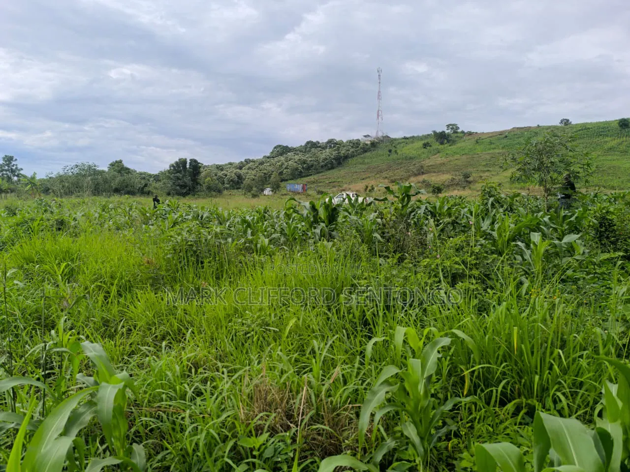 Plots of Land for Sale