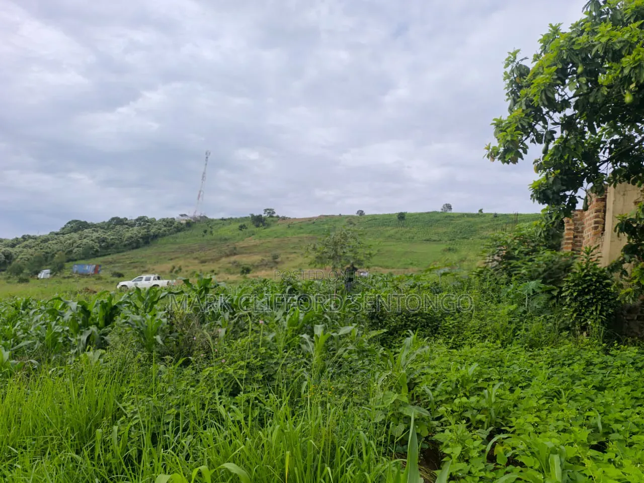Plots of Land for Sale