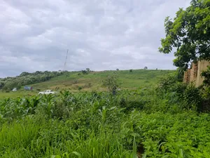 Plots of Land for Sale