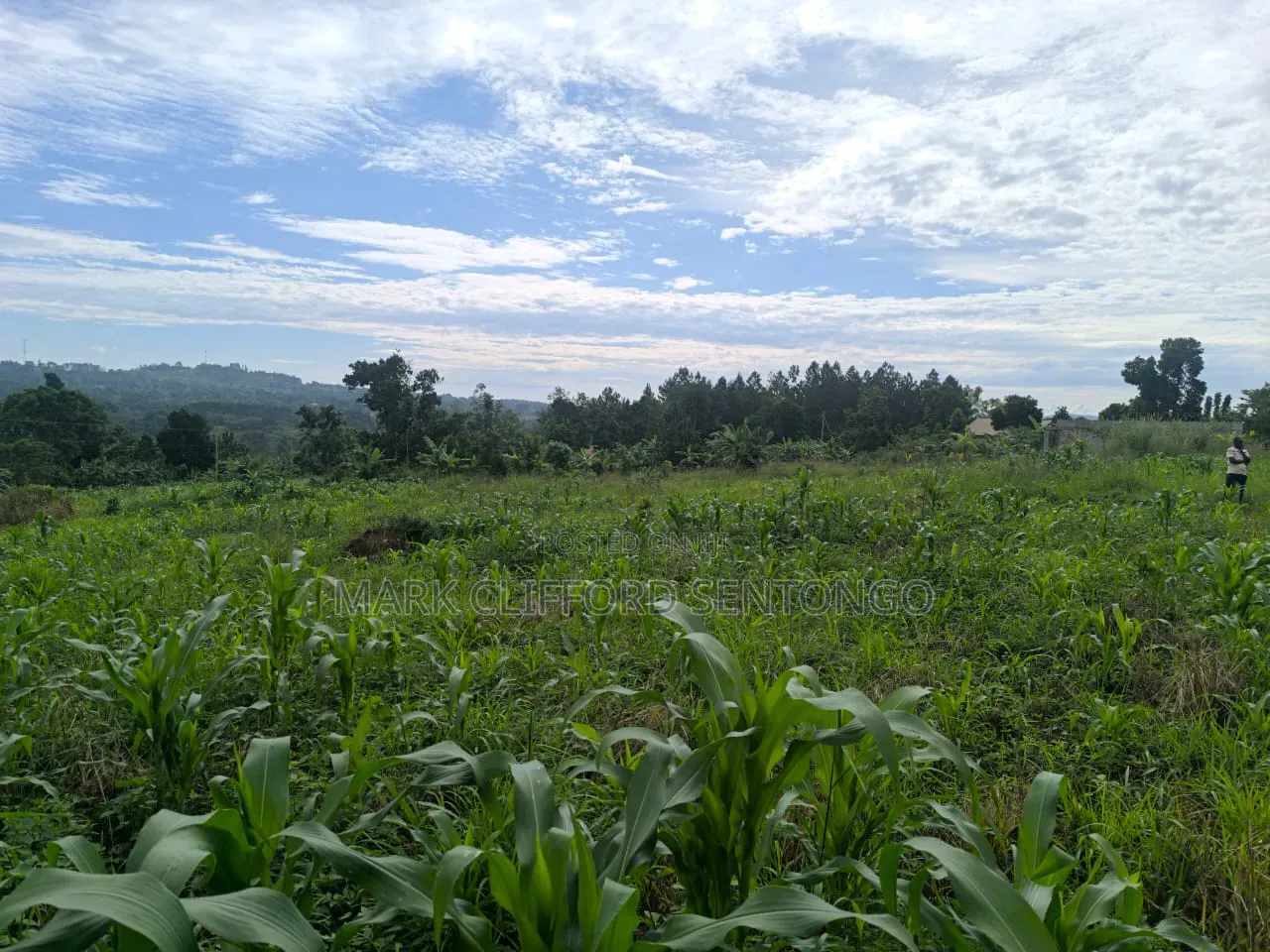 Plots of Land for Sale