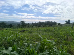 Plots of Land for Sale