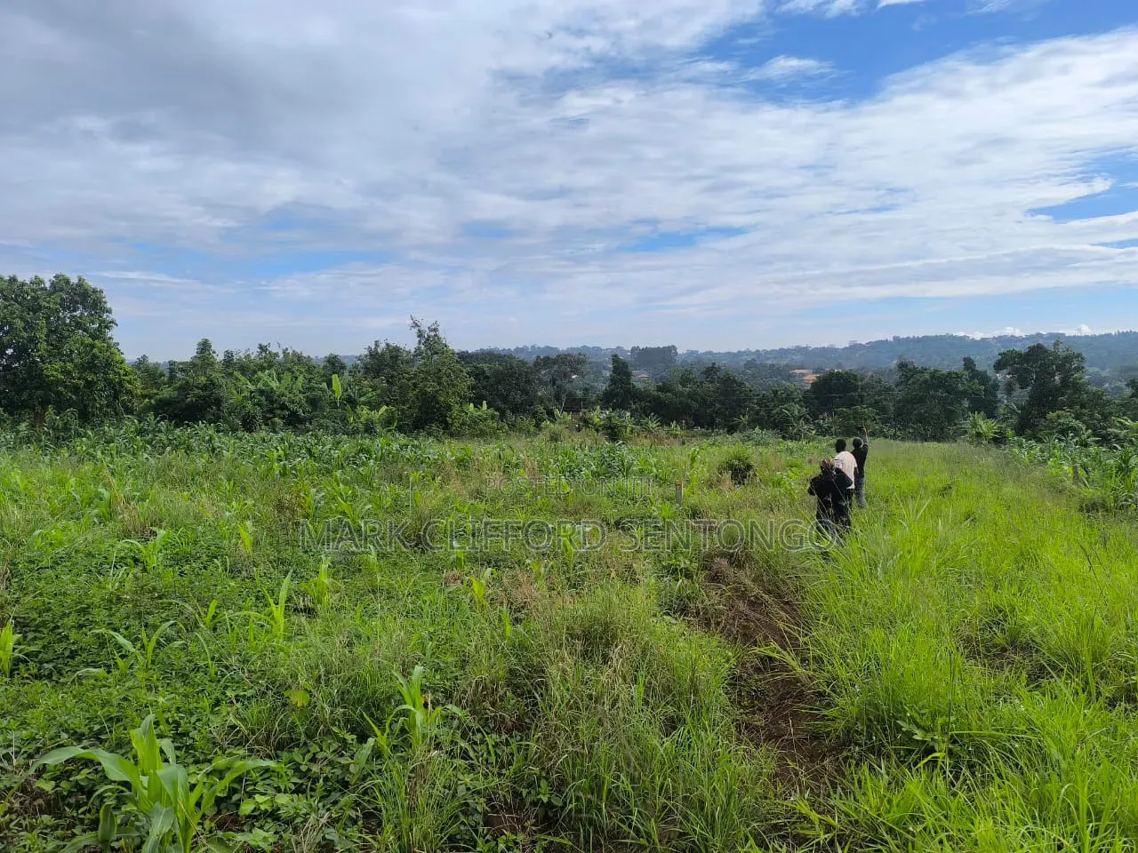 Plots of Land for Sale