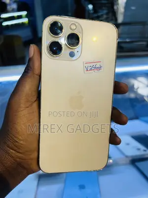 Apple iPhone 13 Pro Max 256 GB Gold