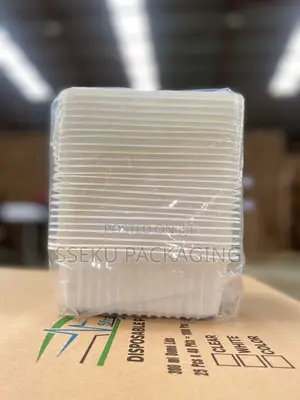 25 Pcs Of 1000mls High-quality Disposable Food Containers With Lids