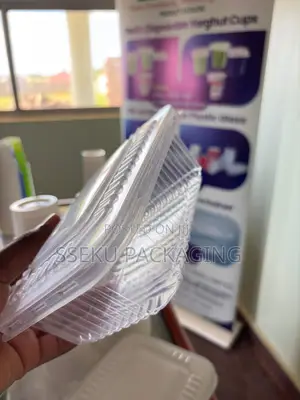 25 Pcs Of 1000mls High-quality Disposable Food Containers With Lids