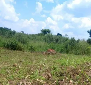 50 by 100 in Mwera Kakiri Ready With Land Title