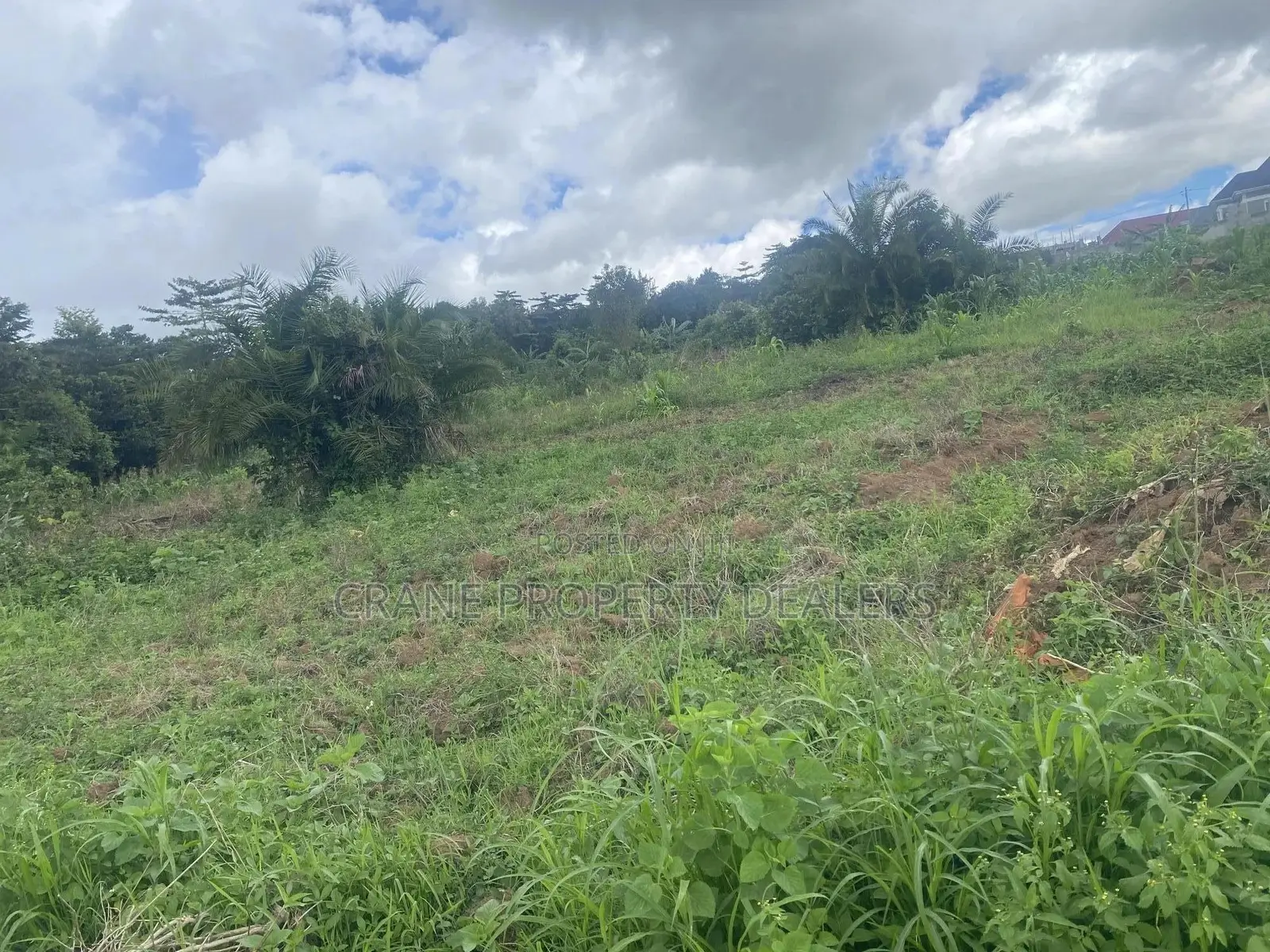 Land for Sale in Mukono Kyetume