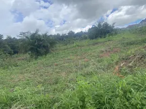 Land for Sale in Mukono Kyetume
