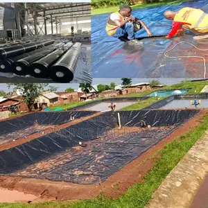 Hdpe Geomembrane 1mm Damliner/Pond Liners