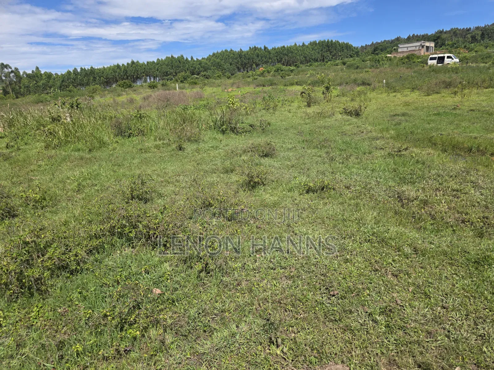 Sisa Ngongolo Plot