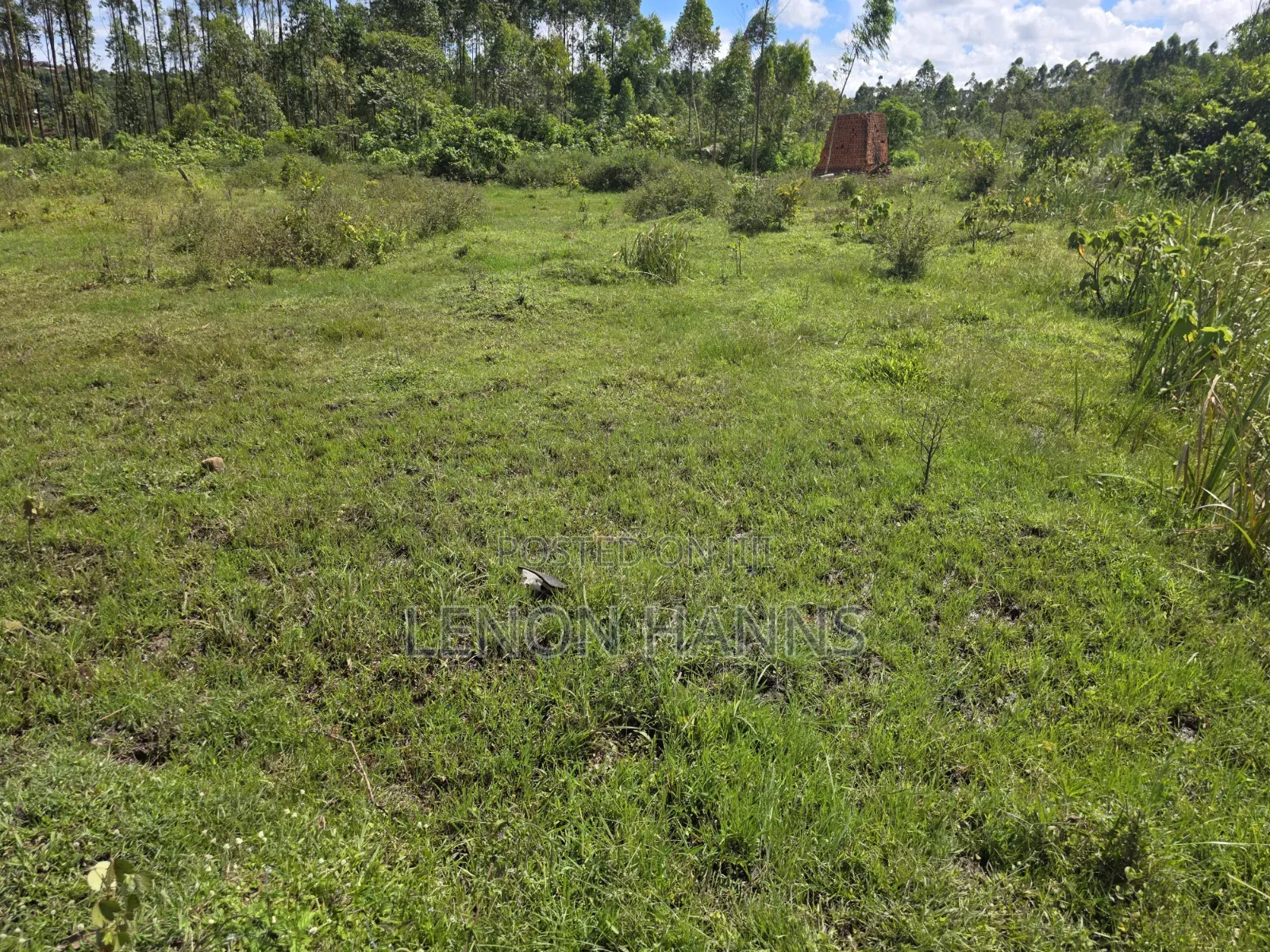 Sisa Ngongolo Plot