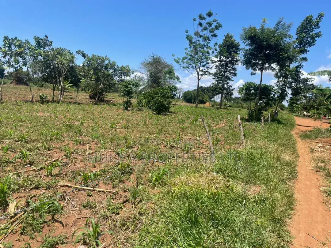 Land for Sale