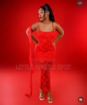 Lux Netted Dress